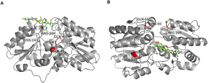 FIGURE 7