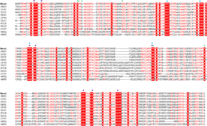 FIGURE 1