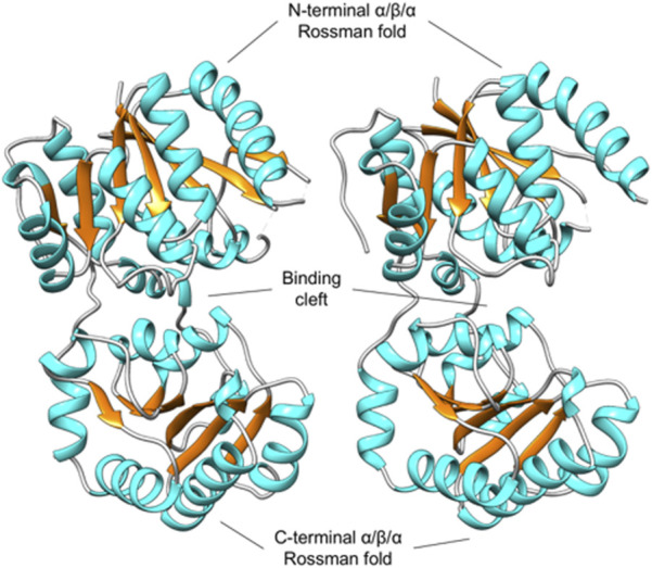 FIGURE 3