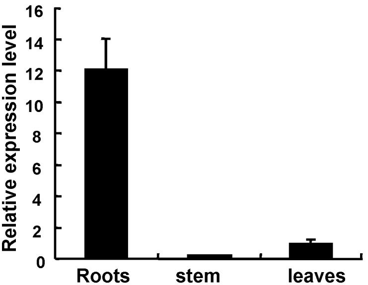 Figure 6