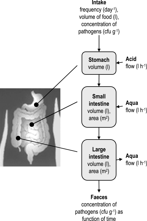 FIG. 1.