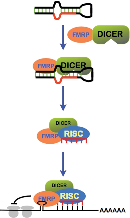 Figure 2.