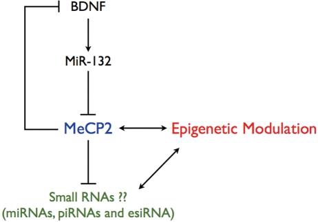 Figure 3.