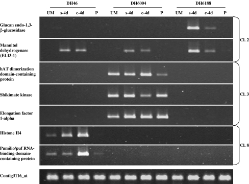 Fig. 4