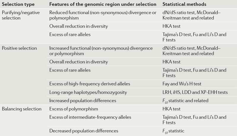 Box 2 | Popular statistical methods to detect the different types of selection