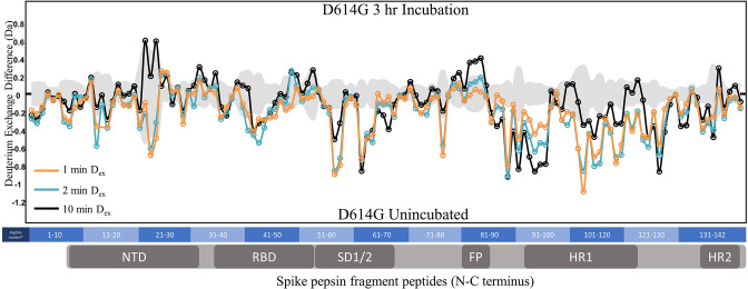 Figure 3—figure supplement 4.