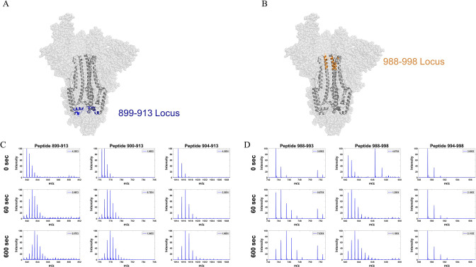 Figure 6—figure supplement 3.