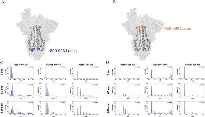 Figure 4—figure supplement 3.