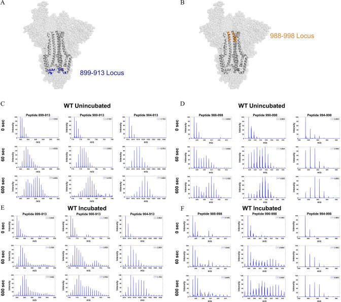 Figure 2—figure supplement 5.