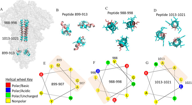 Figure 7—figure supplement 1.