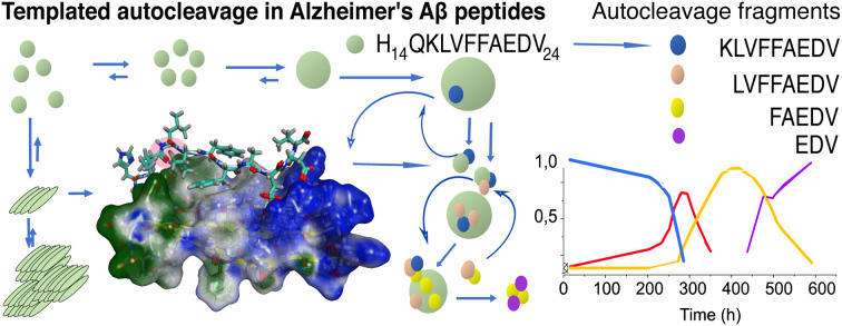 graphic file with name d2sc06668h-ga.jpg