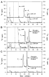 Fig. 10