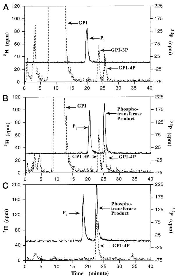 Fig. 10