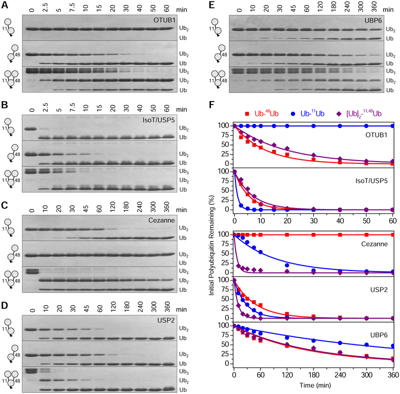 Figure 4: