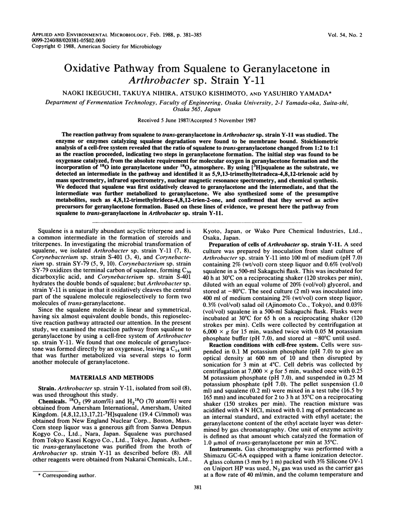381