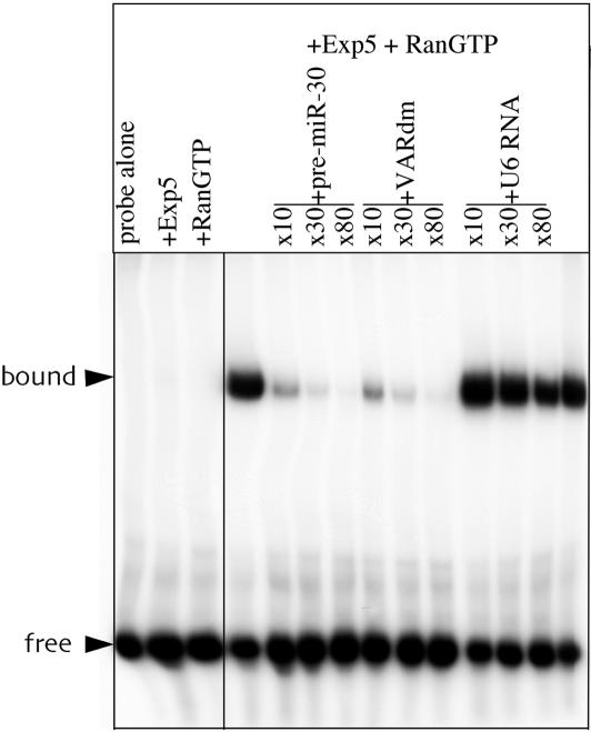 Figure 5.