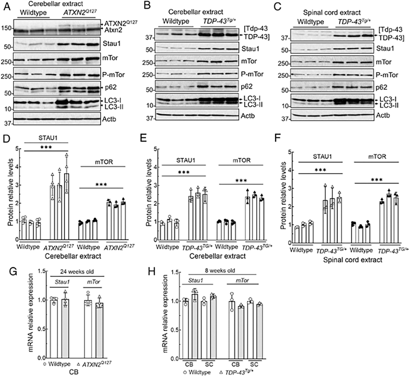 FIGURE 4: