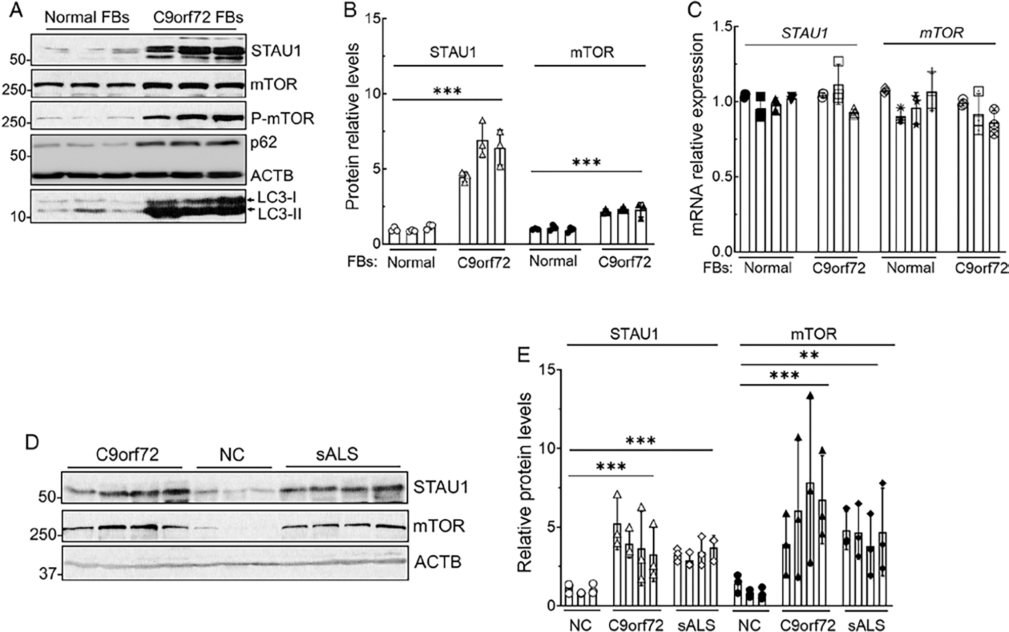 FIGURE 2: