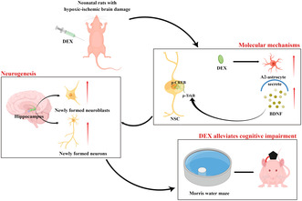 graphic file with name CNS-30-e14486-g007.jpg