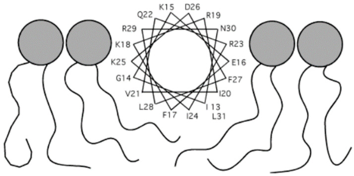Figure 8