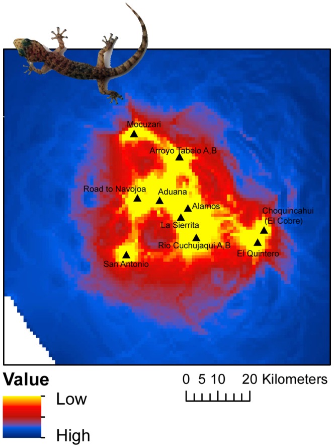 Figure 5