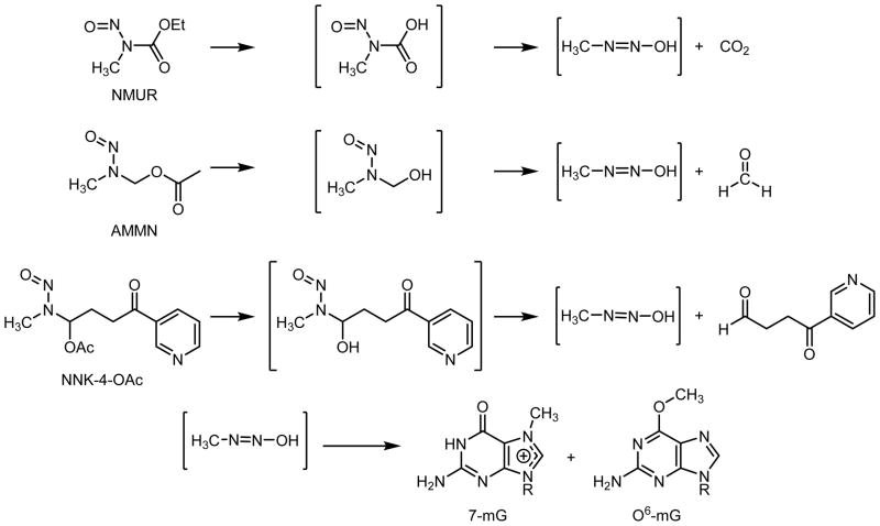 Scheme 2