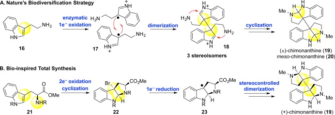 Scheme 2