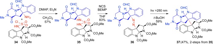 Scheme 5