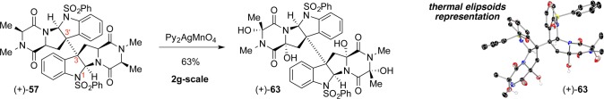 Scheme 11