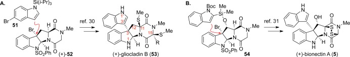 Scheme 8