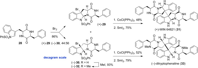 Scheme 4