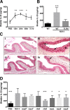FIG 6