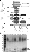FIG 1