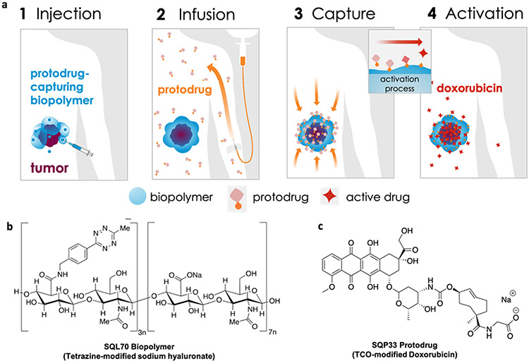 Figure 1: