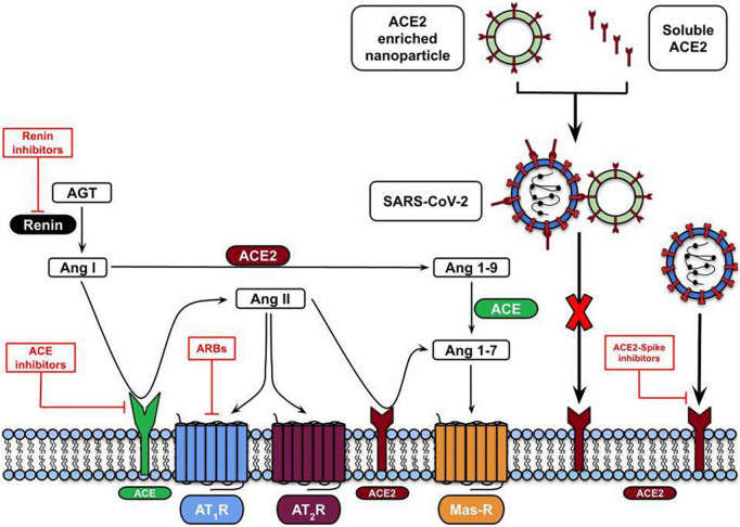 FIGURE 3