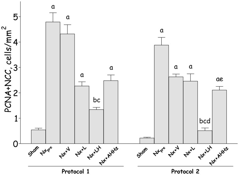 Figure 13