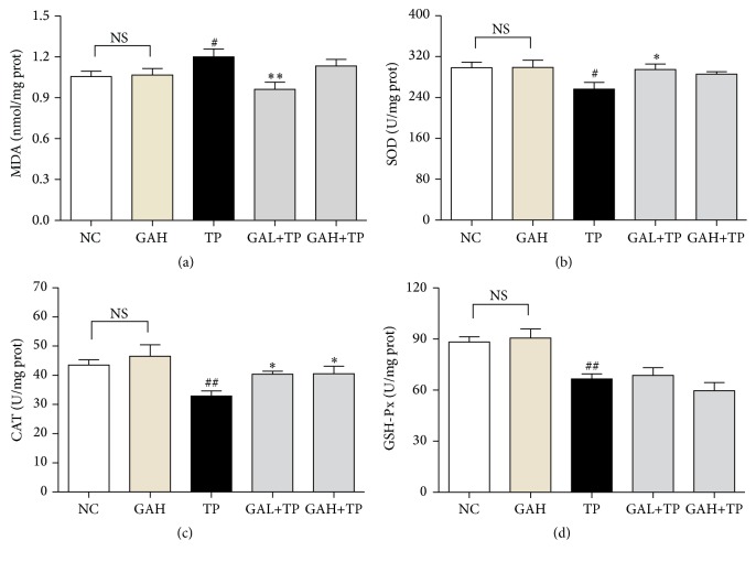 Figure 5