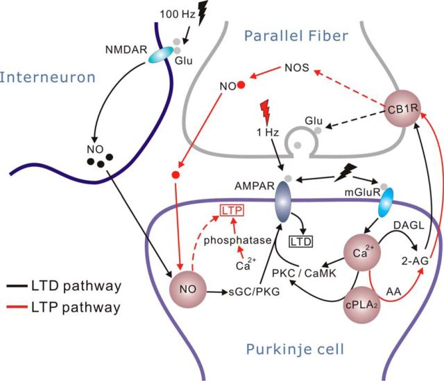 Figure 7.