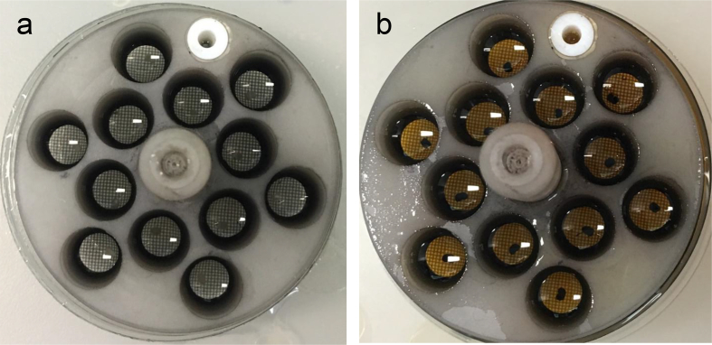 Figure 2