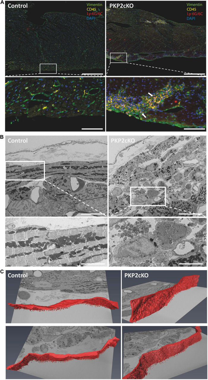 FIGURE 3