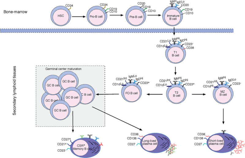 FIG. 1