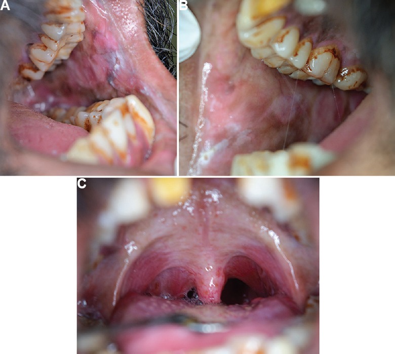 Fig. 7