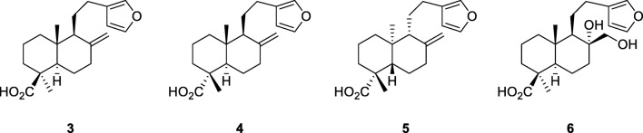 graphic file with name 43450_2020_2_Figc_HTML.jpg