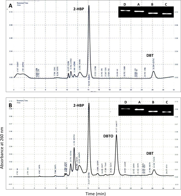 Fig 5