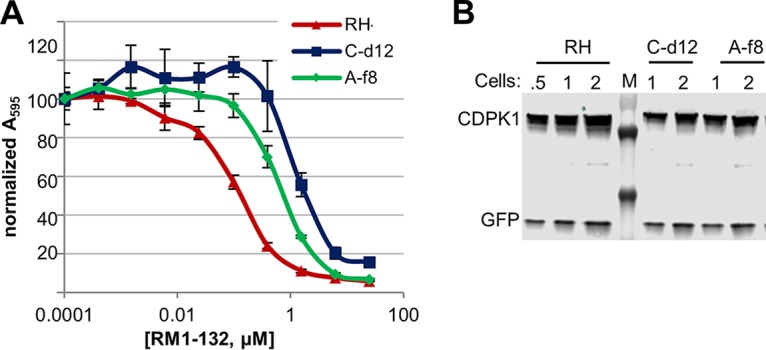 FIG 2