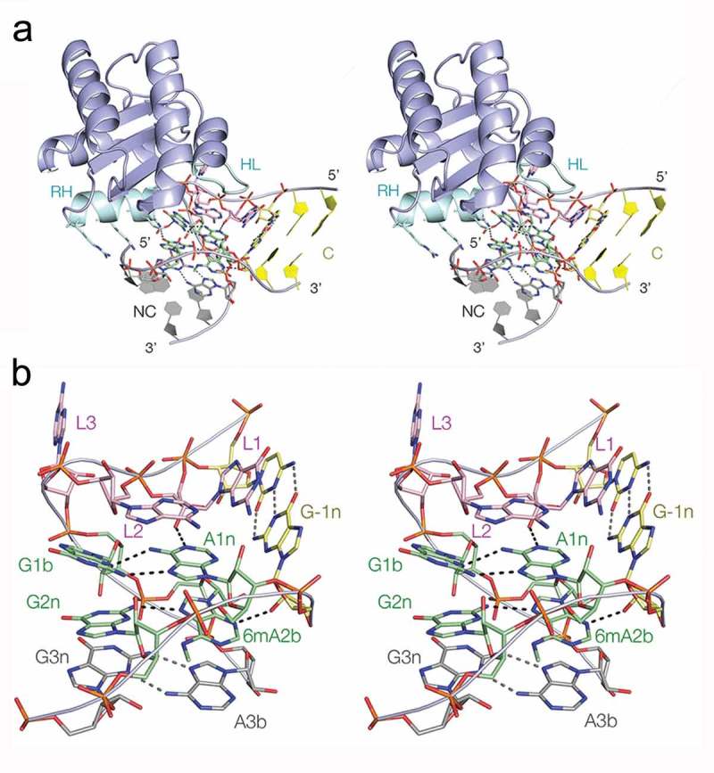 Figure 5.