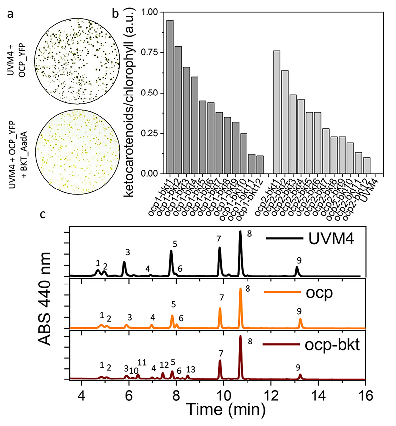 Fig. 2