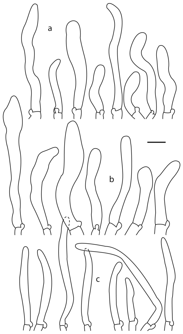 Figure 7.