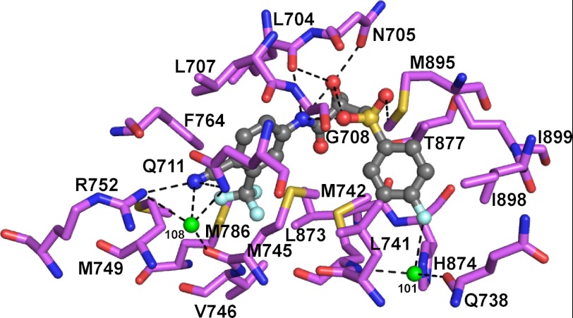 FIGURE 5.