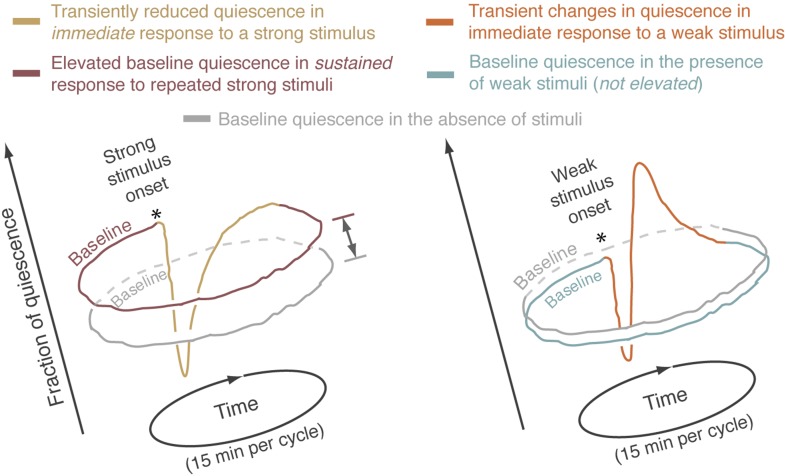 Figure 3—figure supplement 1.